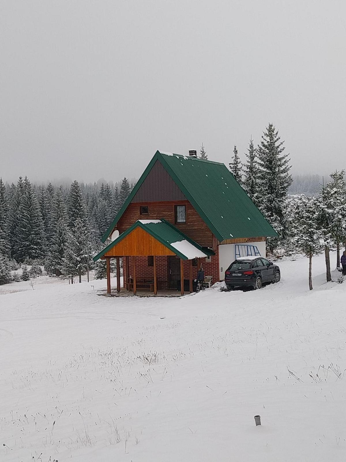 House In Forest Žabljak エクステリア 写真