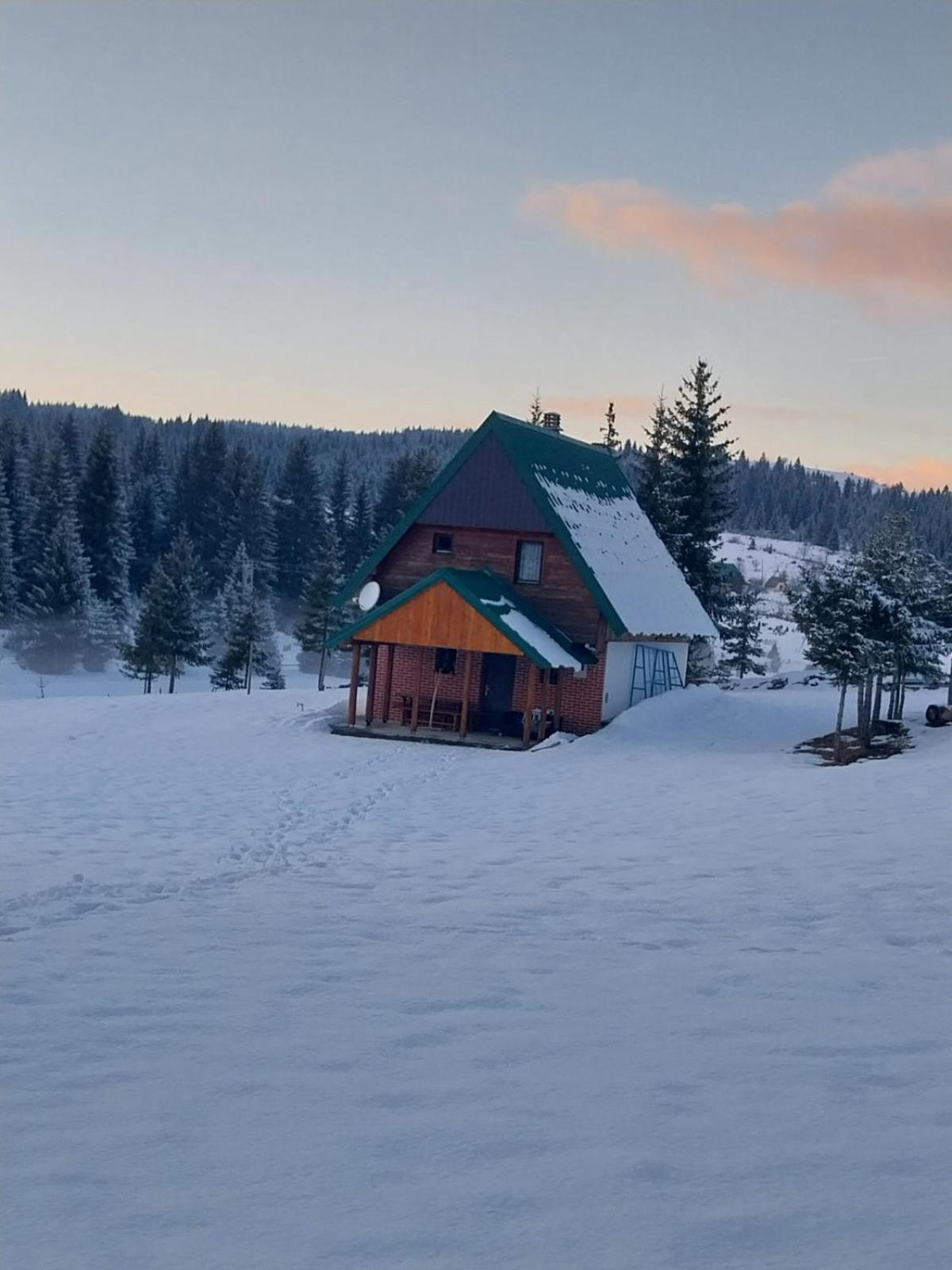 House In Forest Žabljak エクステリア 写真