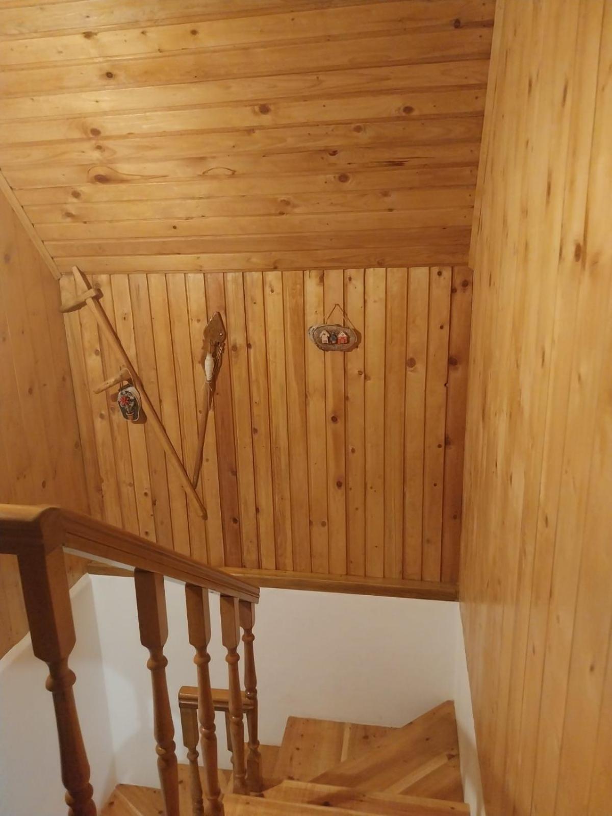 House In Forest Žabljak エクステリア 写真
