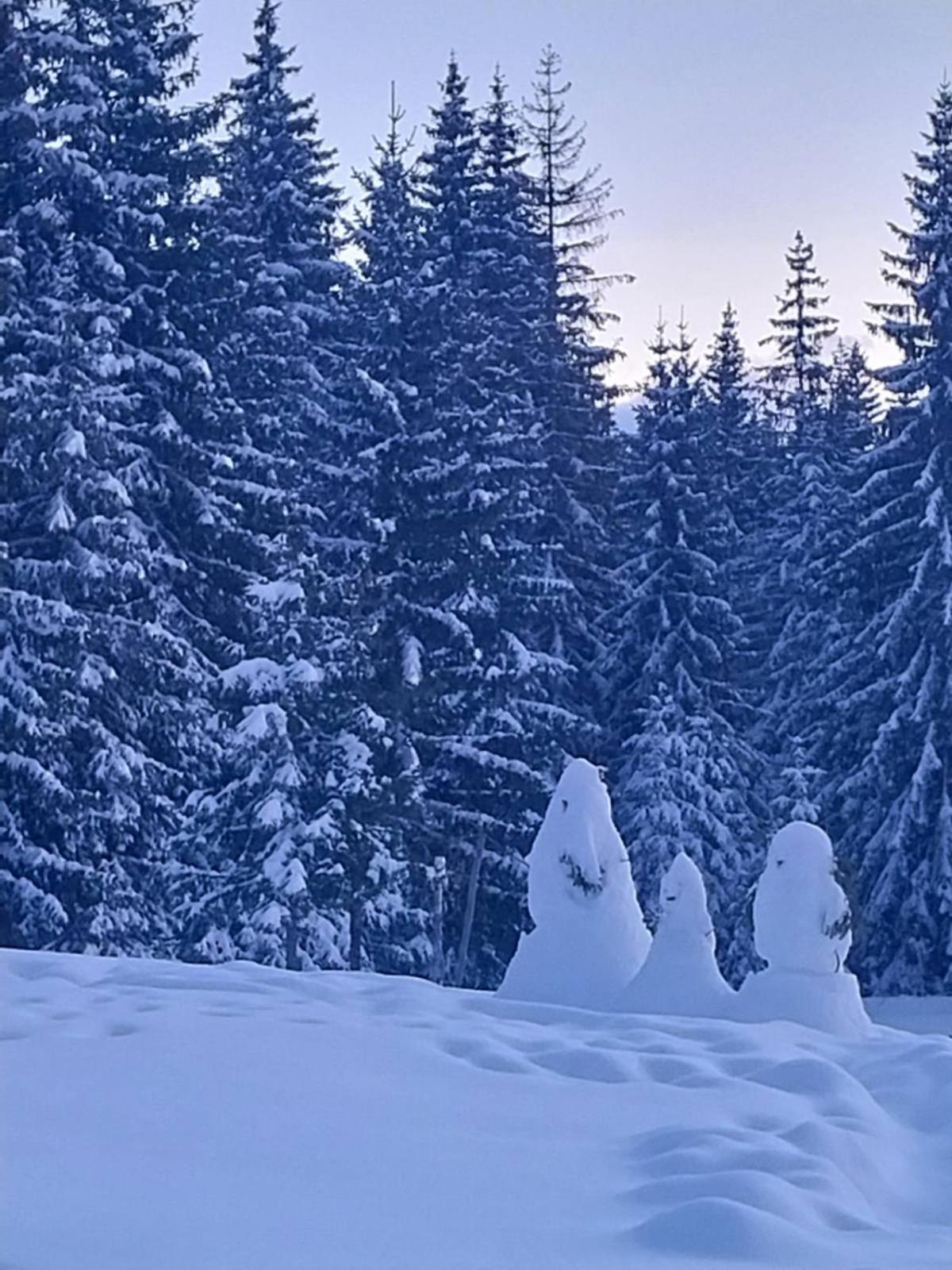 House In Forest Žabljak エクステリア 写真