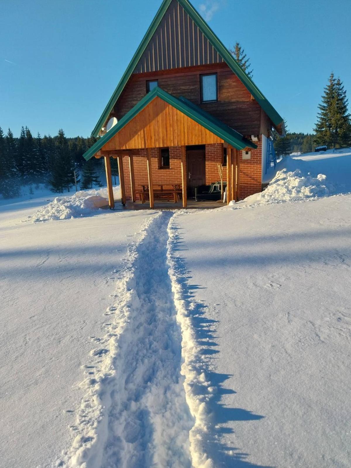 House In Forest Žabljak エクステリア 写真