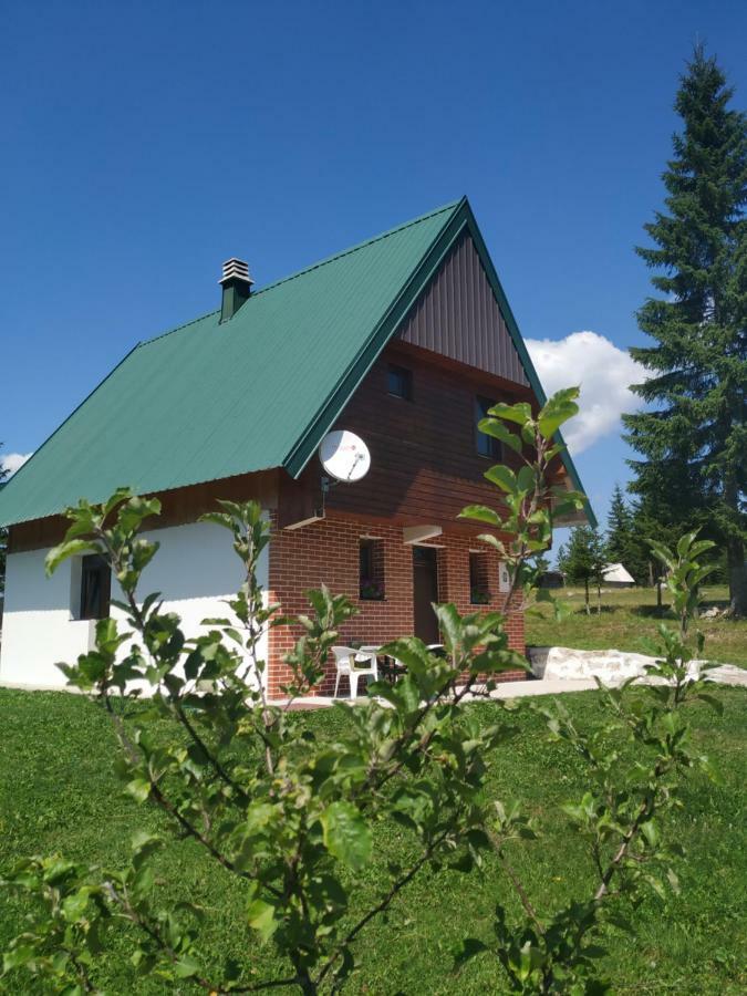 House In Forest Žabljak エクステリア 写真