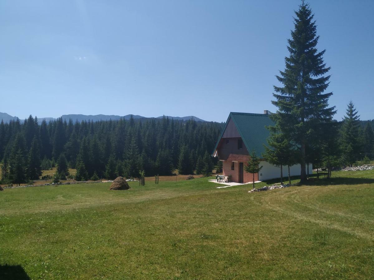 House In Forest Žabljak エクステリア 写真
